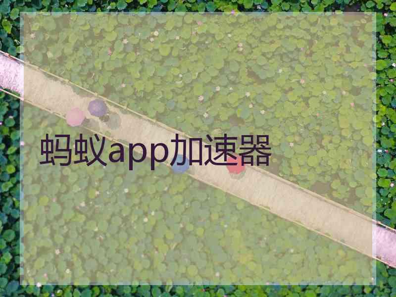 蚂蚁app加速器