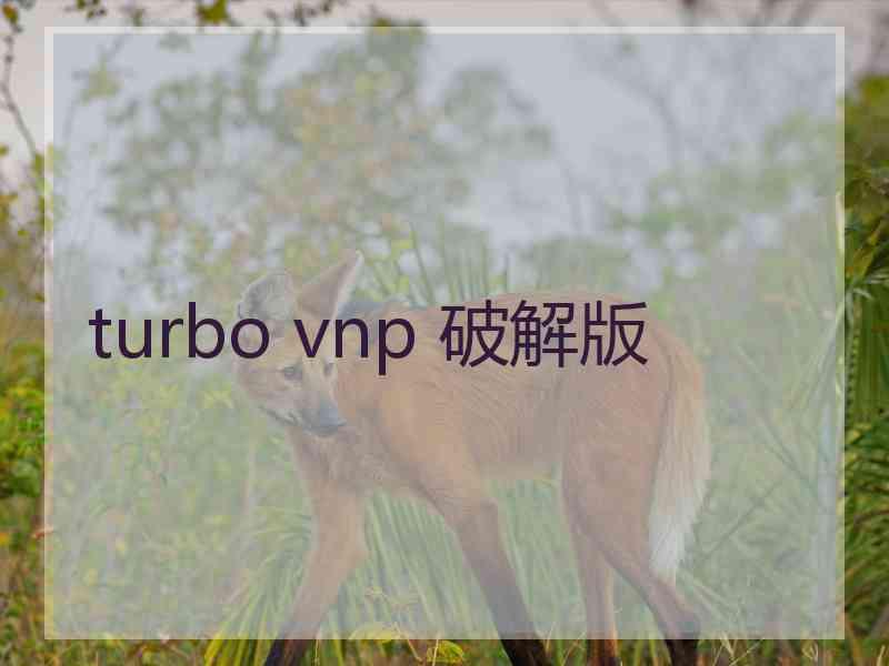 turbo vnp 破解版