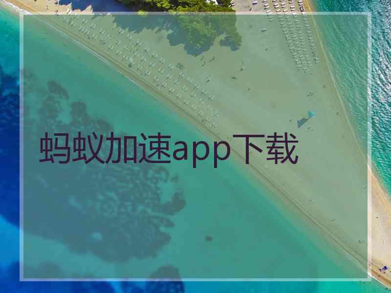 蚂蚁加速app下载