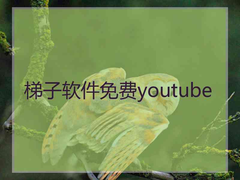 梯子软件免费youtube