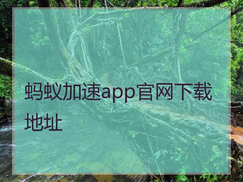 蚂蚁加速app官网下载地址