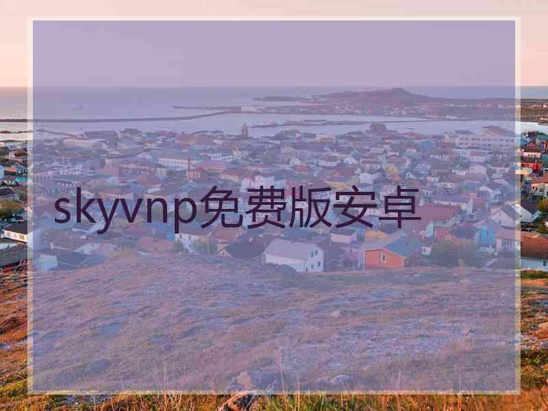 skyvnp免费版安卓