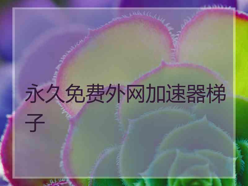 永久免费外网加速器梯子