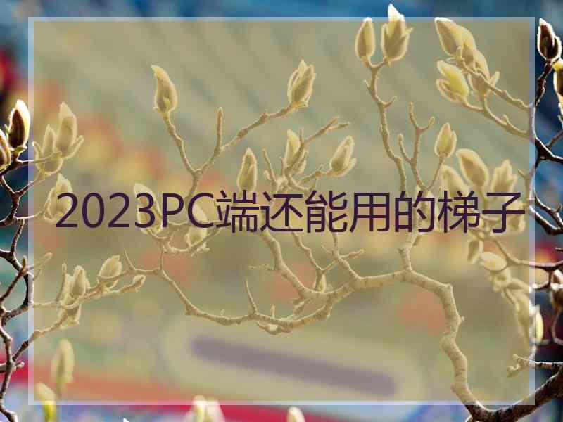 2023PC端还能用的梯子