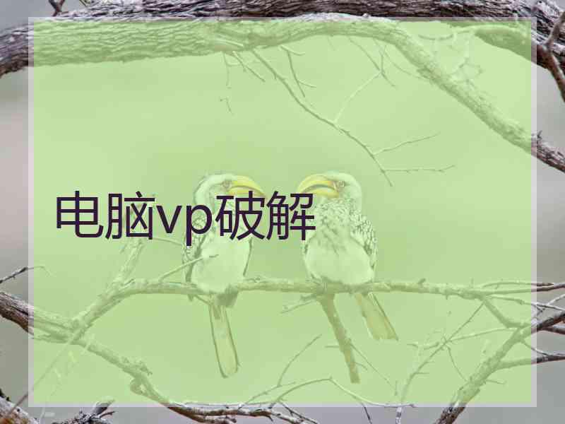 电脑vp破解