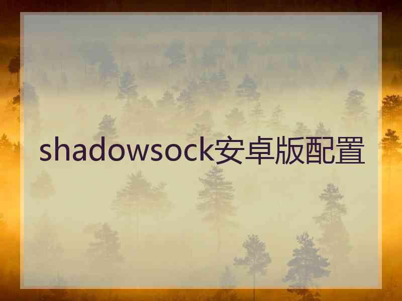 shadowsock安卓版配置