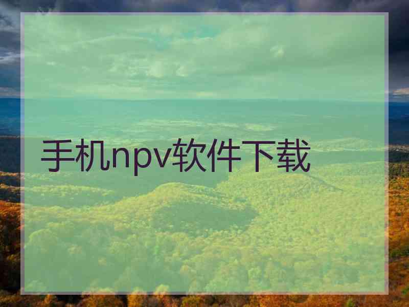 手机npv软件下载