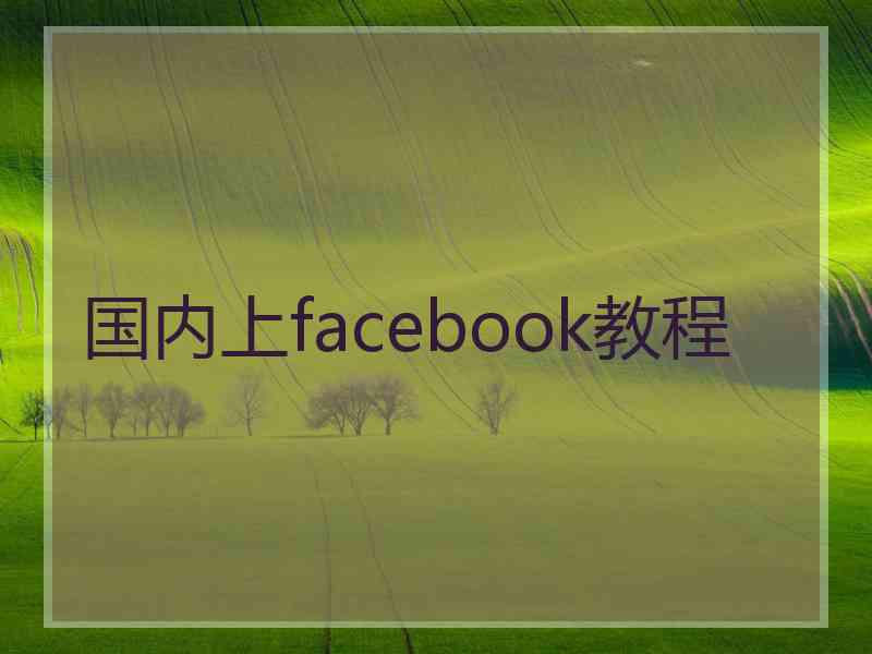 国内上facebook教程