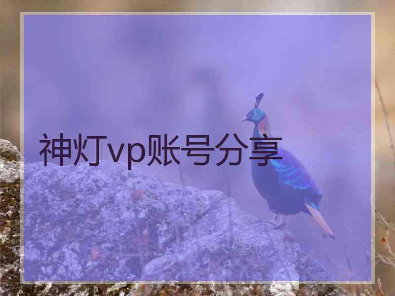 神灯vp账号分享