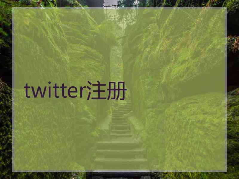 twitter注册