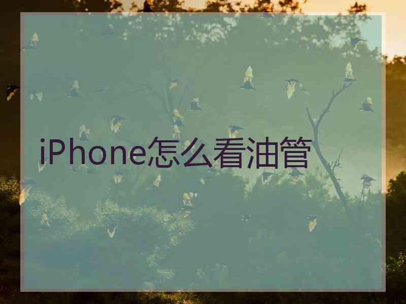 iPhone怎么看油管