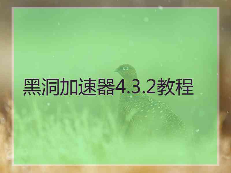 黑洞加速器4.3.2教程