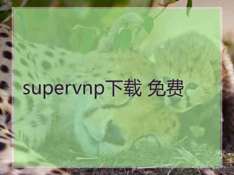 supervnp下载 免费