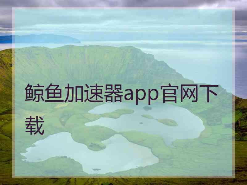 鲸鱼加速器app官网下载