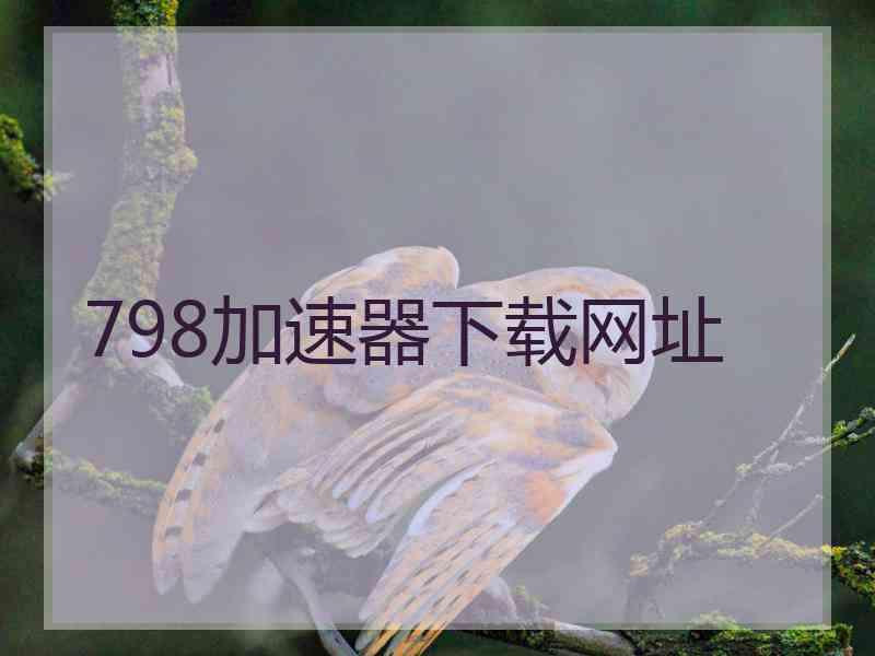 798加速器下载网址