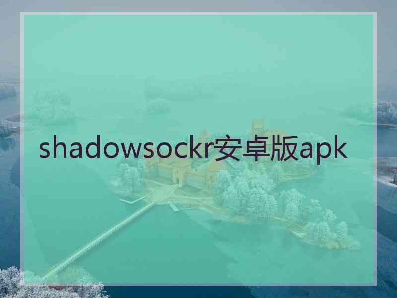 shadowsockr安卓版apk