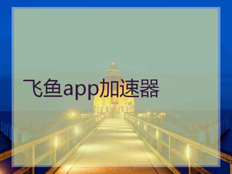 飞鱼app加速器