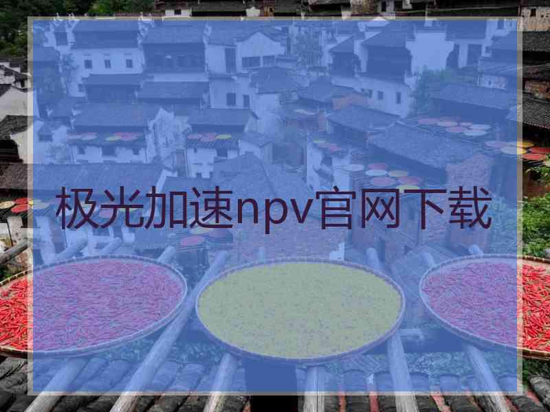 极光加速npv官网下载