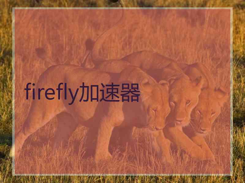 firefly加速器