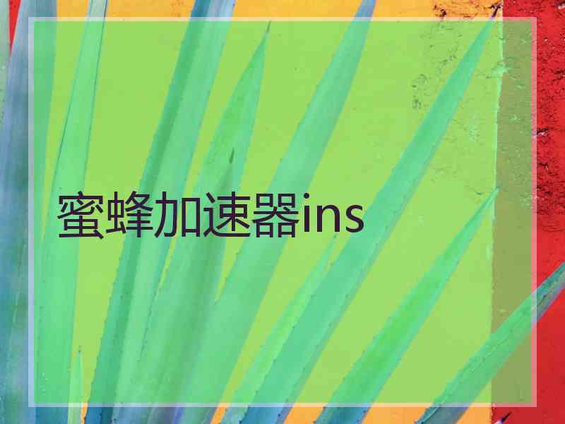 蜜蜂加速器ins