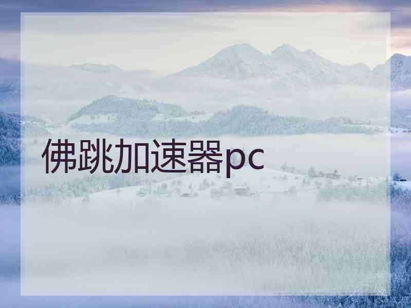 佛跳加速器pc