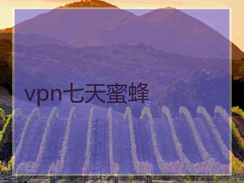 vpn七天蜜蜂