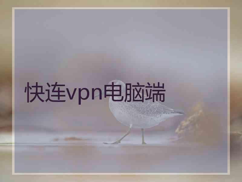 快连vpn电脑端