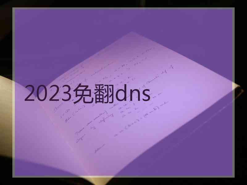 2023免翻dns