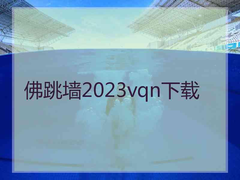 佛跳墙2023vqn下载