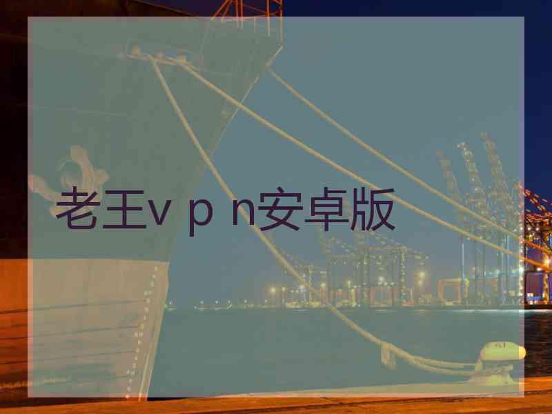 老王v p n安卓版