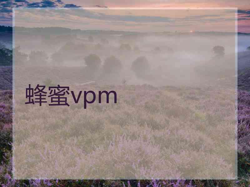 蜂蜜vpm