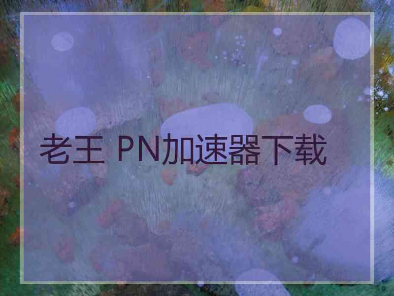 老王 PN加速器下载