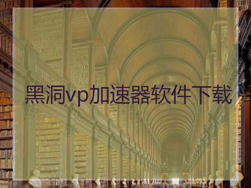 黑洞vp加速器软件下载