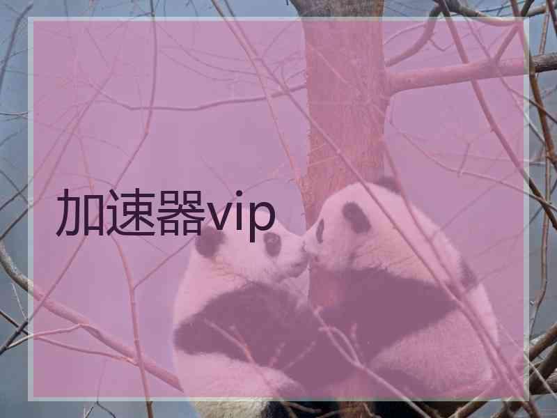 加速器vip