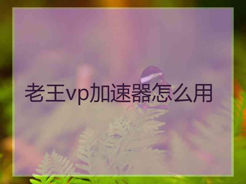 老王vp加速器怎么用