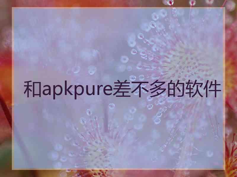 和apkpure差不多的软件