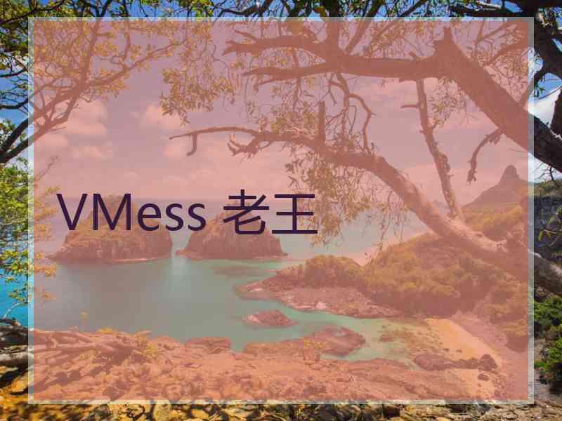 VMess 老王