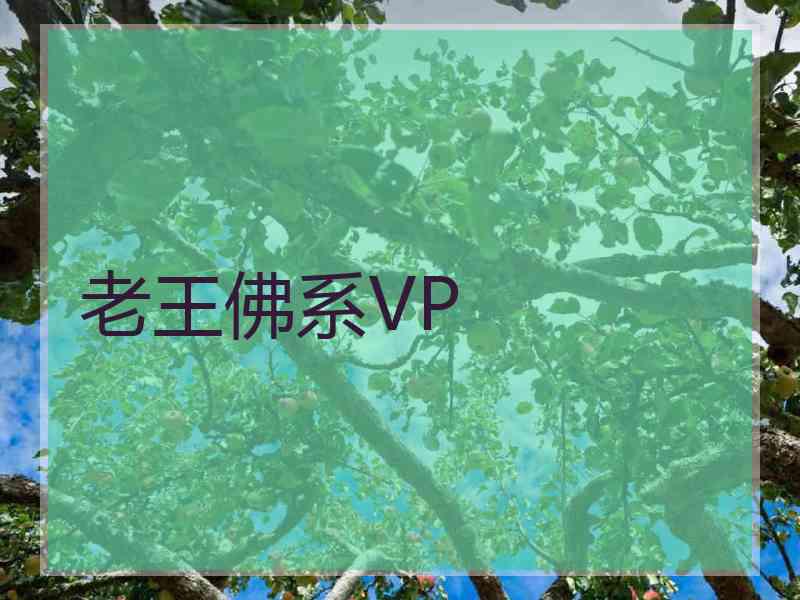 老王佛系VP