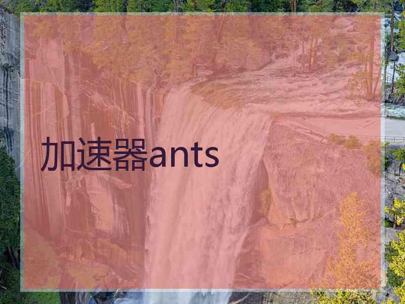 加速器ants