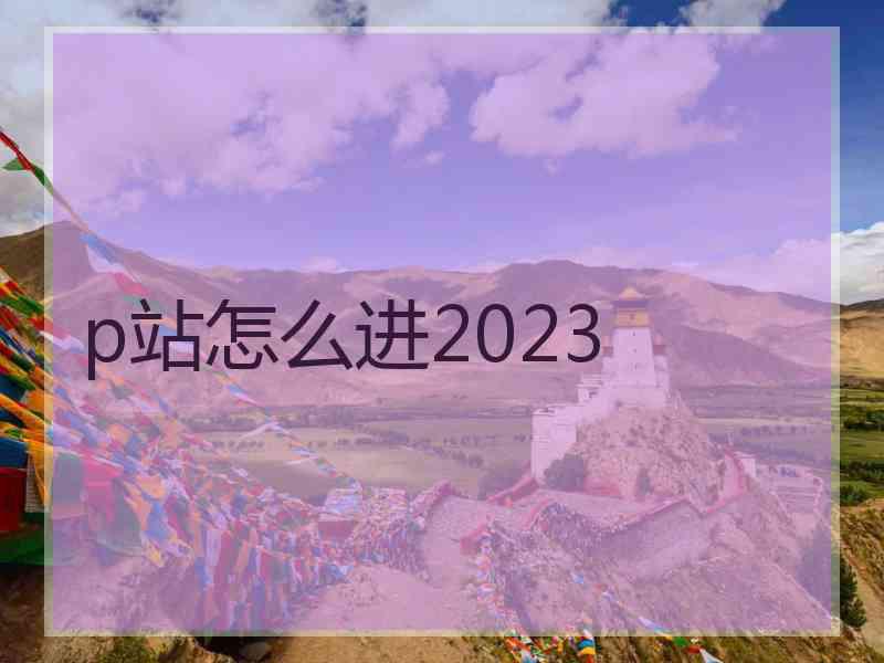 p站怎么进2023