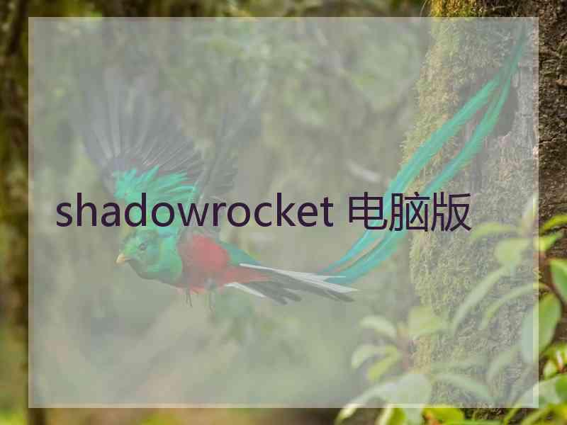 shadowrocket 电脑版