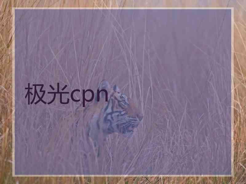 极光cpn