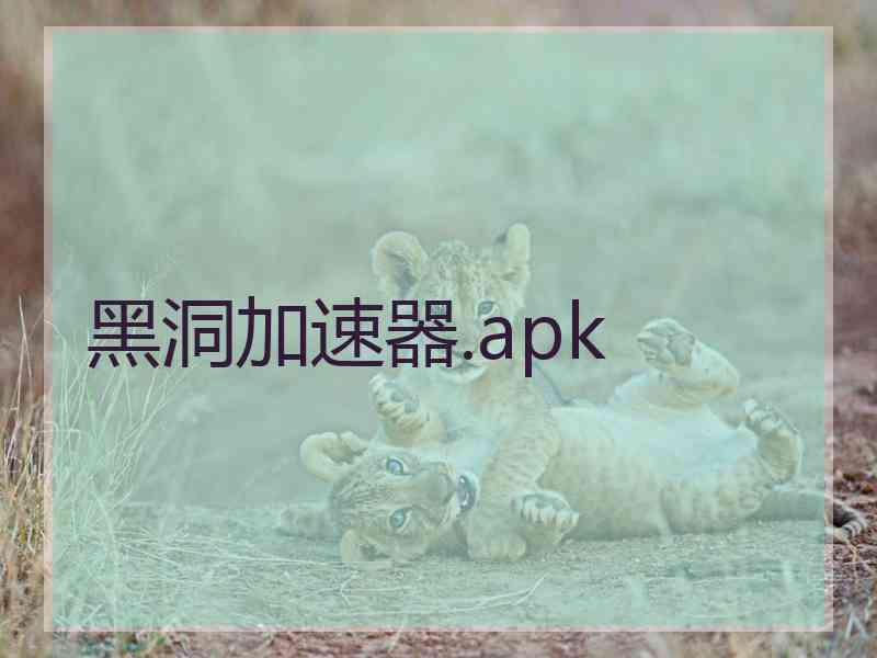 黑洞加速器.apk