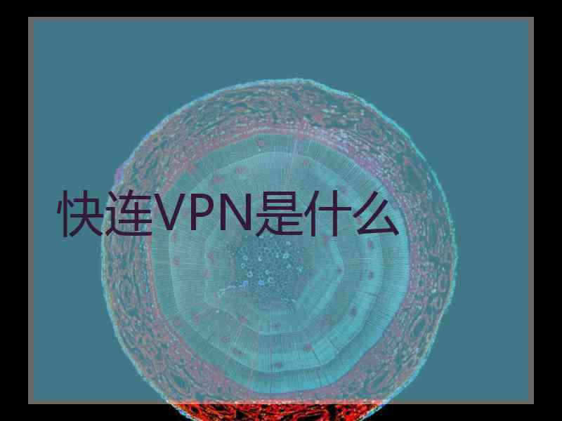 快连VPN是什么