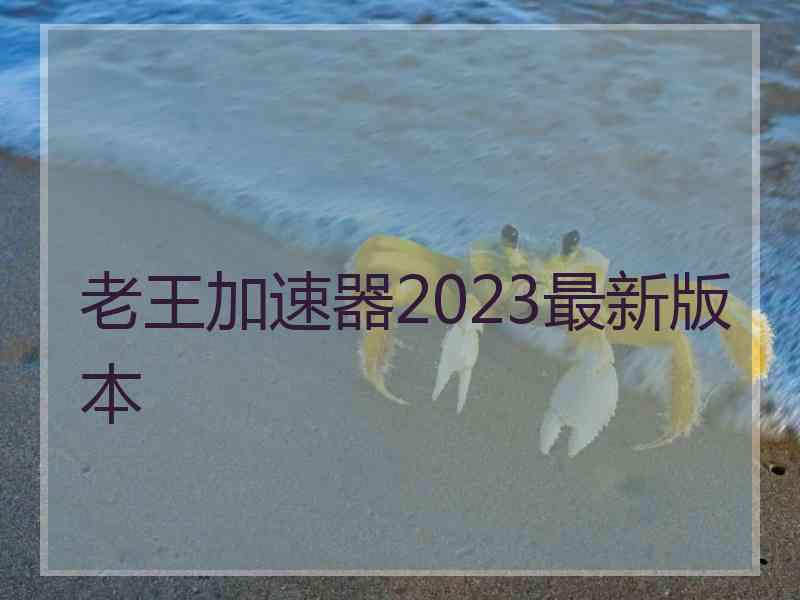 老王加速器2023最新版本