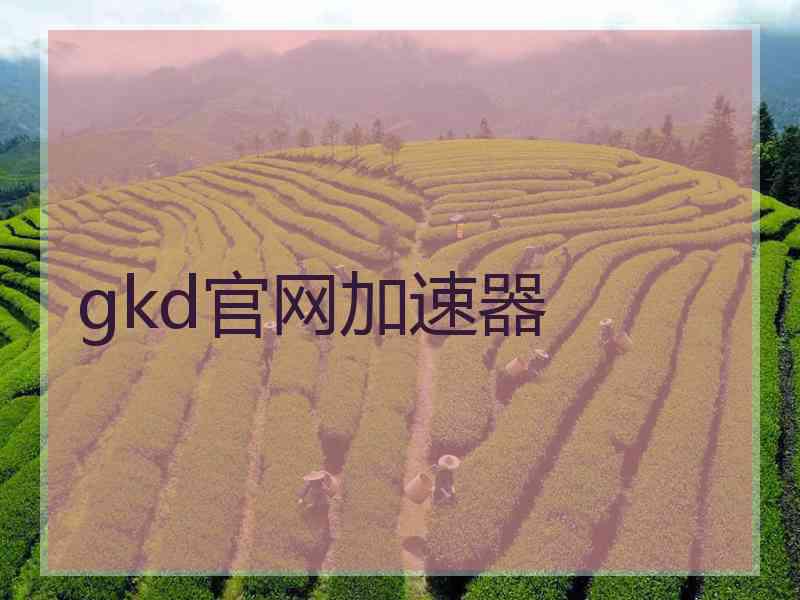 gkd官网加速器