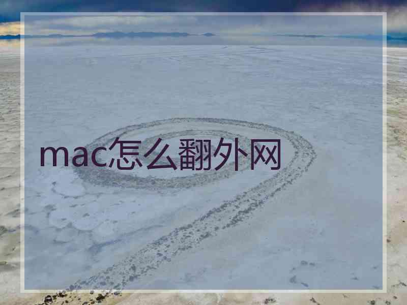 mac怎么翻外网