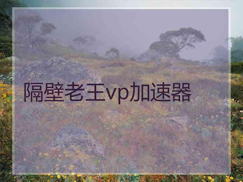 隔壁老王vp加速器