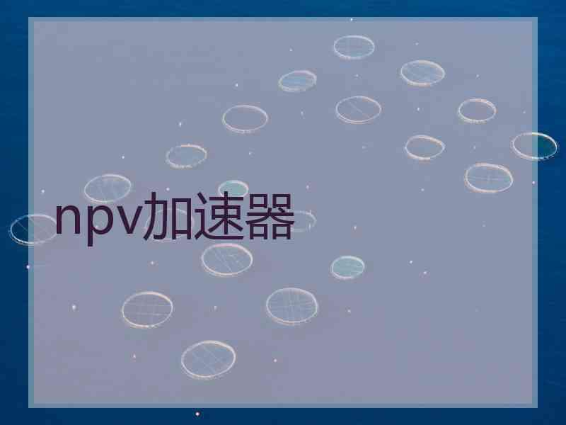 npv加速器