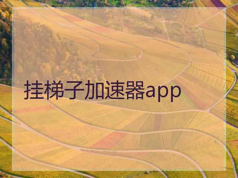 挂梯子加速器app